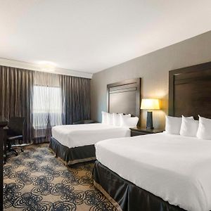 Queen Room Mobility accessible