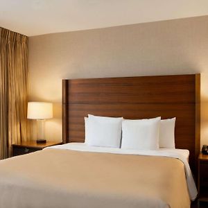 One-Bedroom King Suite