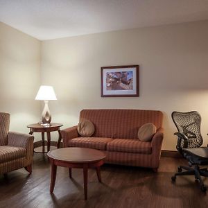 One-Bedroom King Suite