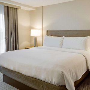 Executive King Suite