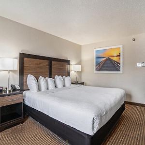 King Room Disability Access