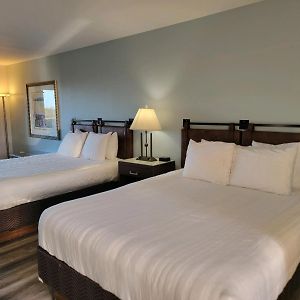 Queen Room Dog friendly