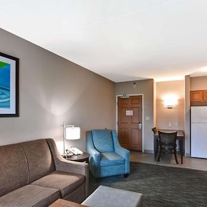 One-Bedroom Queen Suite