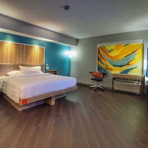 King Room Mobility accessible
