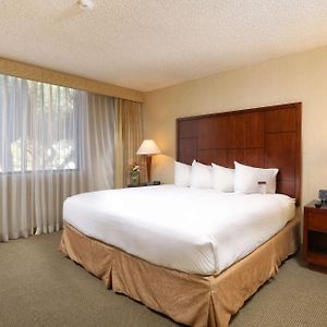 King Room Disability Access