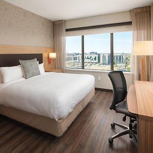 One-Bedroom King Suite