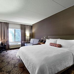 King Room Disability Access
