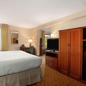 One-Bedroom King Suite
