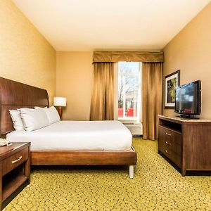 One-Bedroom King Suite