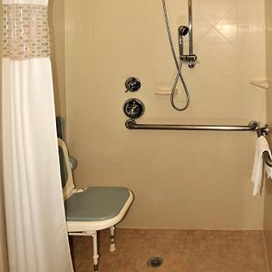 King Room Disability Access