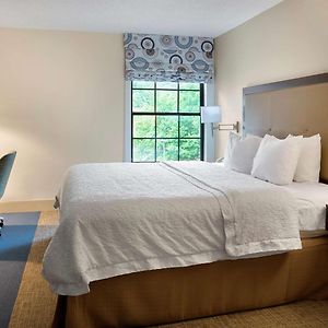 One-Bedroom King Suite