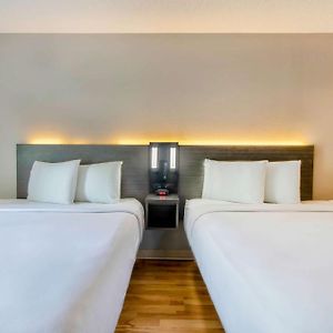 Quadruple Room Disability Access