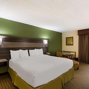 Ground Floor King Room