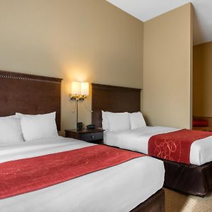 Queen Suite Mobility accessible