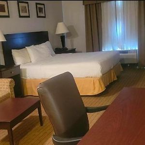 Superior King Suite