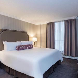One-Bedroom King Suite