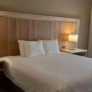 King Room Disability Access