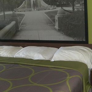 King Room Disability Access