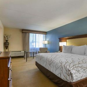 King Room Disability Access