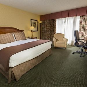 Premium King Room