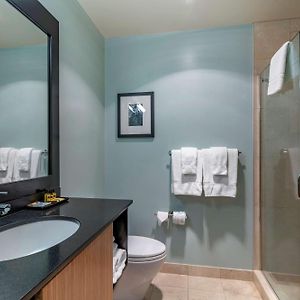 Executive  Queen Room Adults only