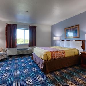 Standard King Suite