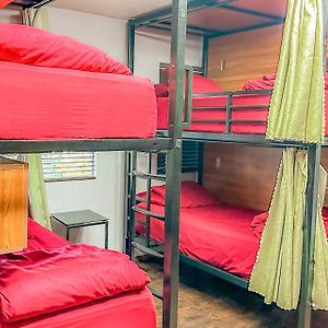 Dormitory Room Mixed