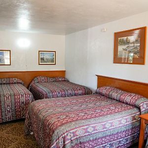 Basic Triple Room
