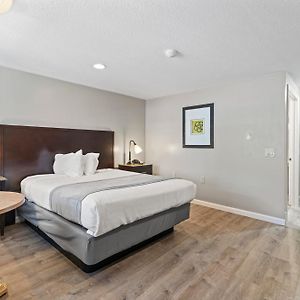 Queen Room Mobility accessible