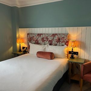 Cozy Double Room