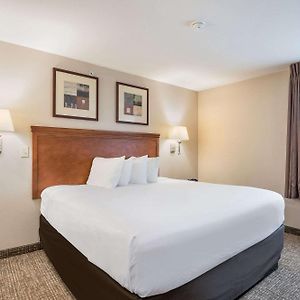 Efficiency King Suite