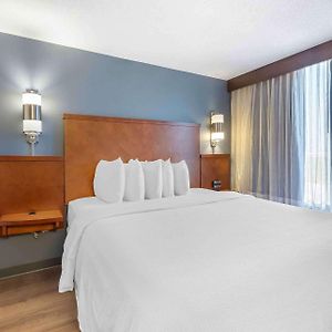 Family King Suite