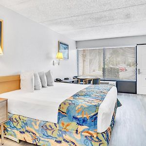 King Room Disability Access
