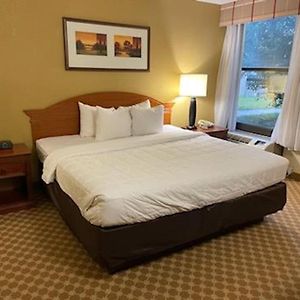 One-Bedroom King Suite