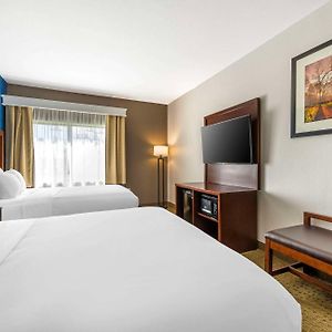 Queen Suite