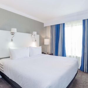 Standard King Suite