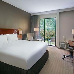 Pool Side King Room
