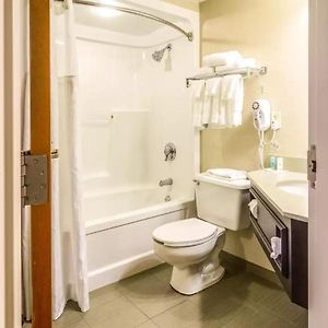 King Room Mobility accessible