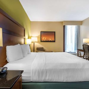 King Room Disability Access