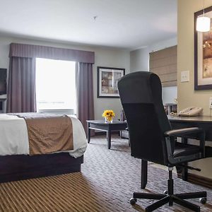 Queen Suite