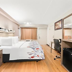 Superior  King Room Disability Access