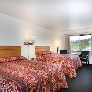 Budget Single Room