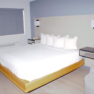 Superior King Suite