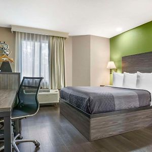 Queen Room Mobility accessible