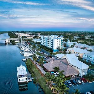 Dolphins Vacation Rental