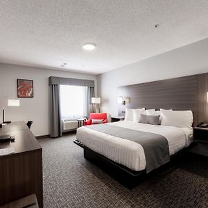 Executive King Room