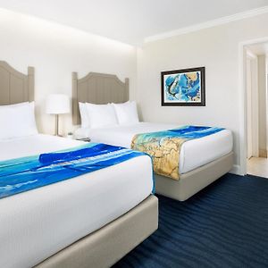 One-Bedroom Renovated