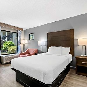Double Room Disability Access