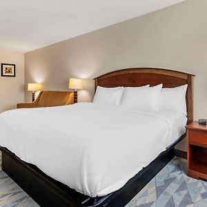 Queen Suite