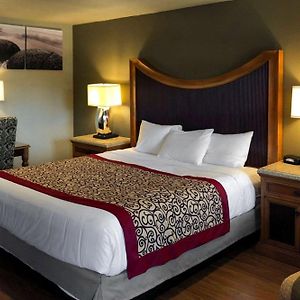 King Room Disability Access